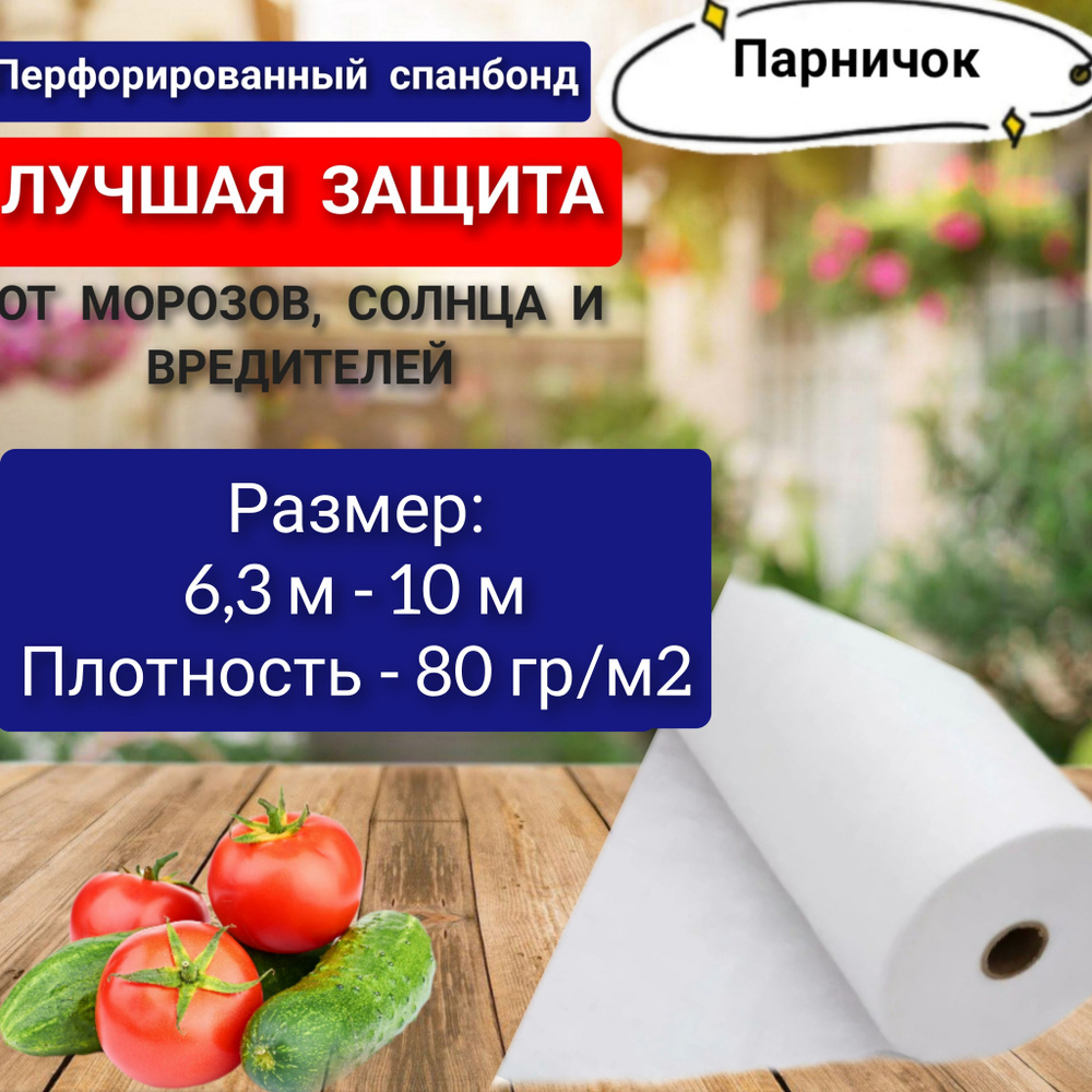 Парничок Укрывной материал Спанбонд, 6x10 м,  80 г-кв.м, 1 шт #1