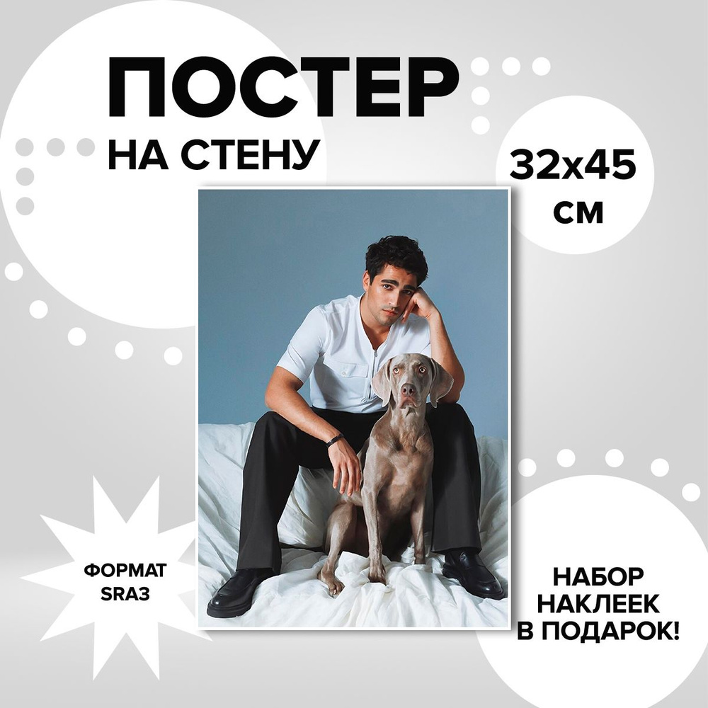 Постер на стену сериал Зимородок, Мерт Рамазан (Ферит Корхан), 32х45  #1