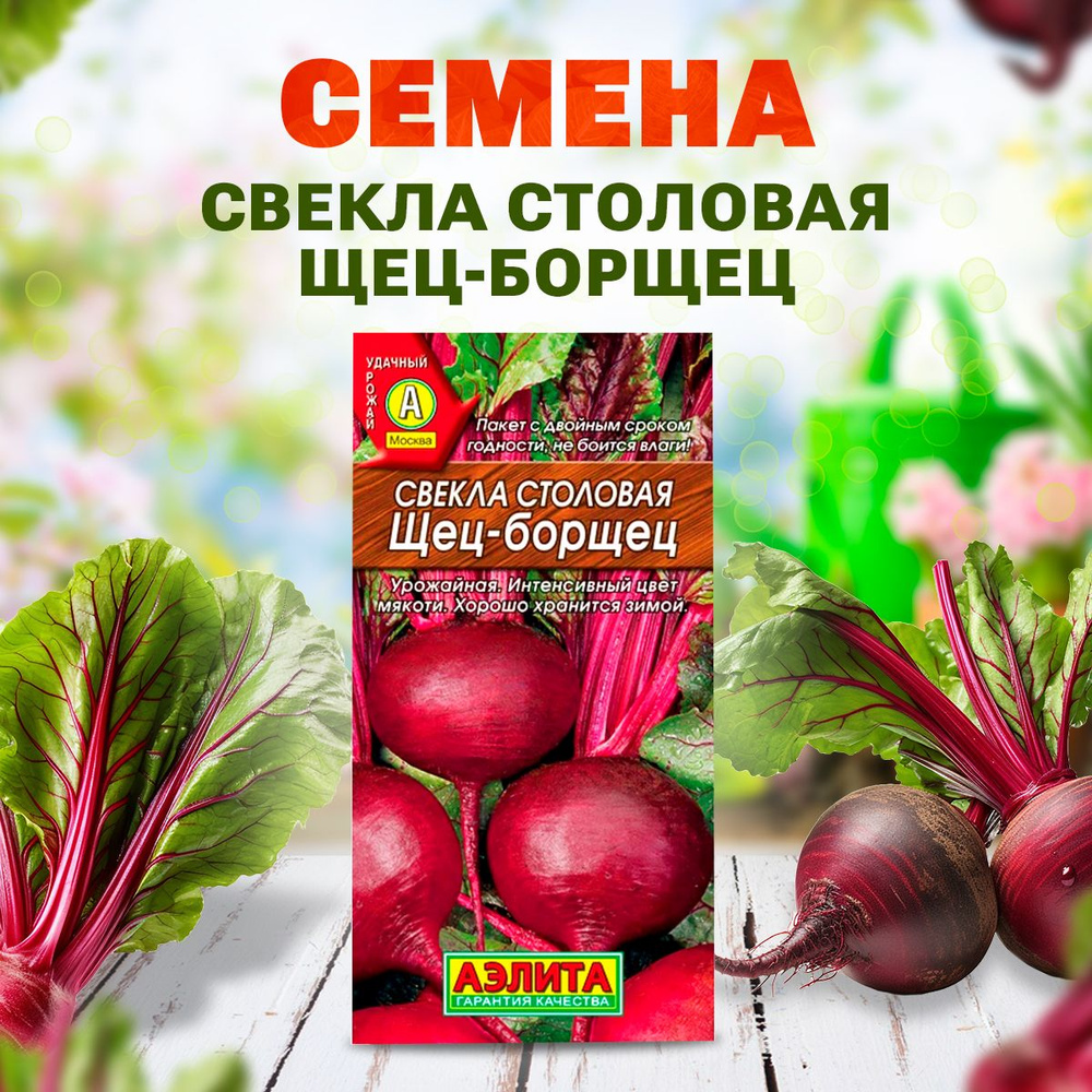 Семена свеклы, Свекла столовая Щец-борщец, Агрофирма Аэлита  #1