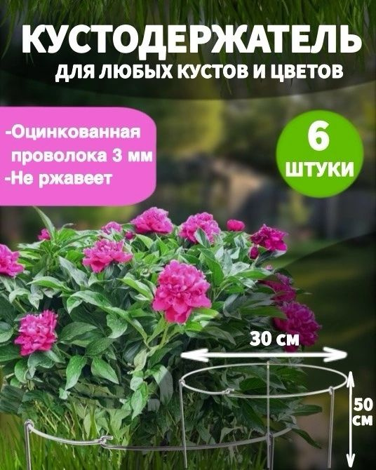 Опора для растений,30см,6шт #1