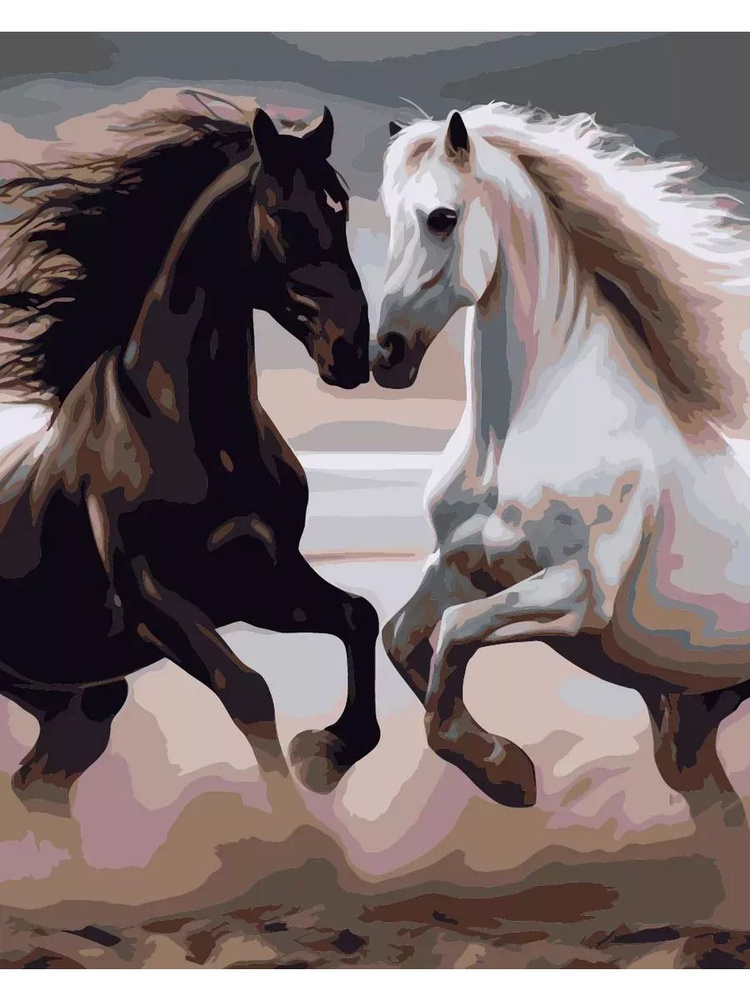 Картина по номерам черный конь белая лошадь Размер 40х50, на холсте на деревянном подрамнике, Акриловые #1