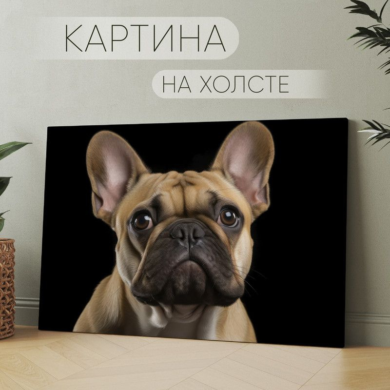 Арт Пространство Картина "милая собака Французский бульдог (20)", 30 х 20 см  #1