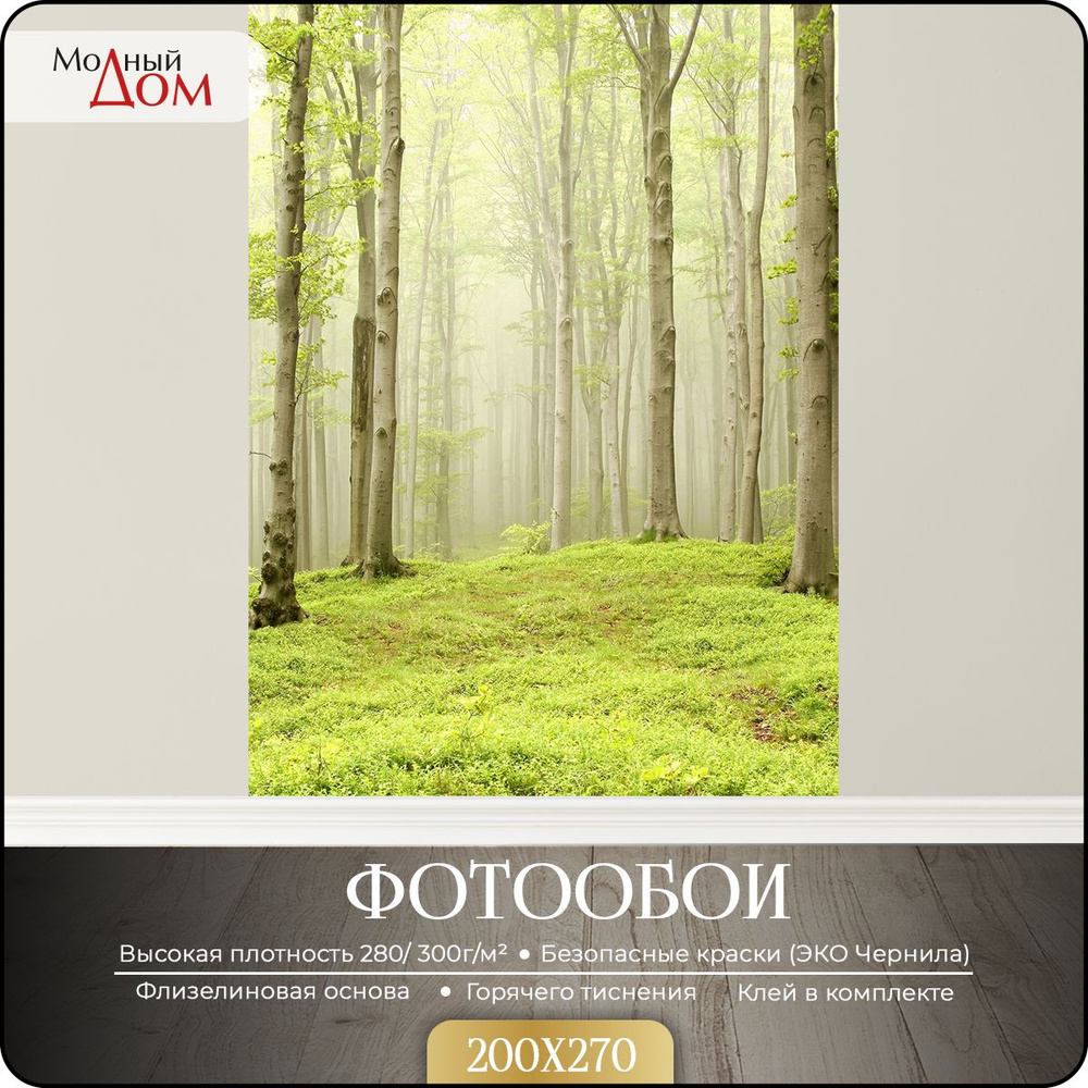 Фотообои на стену "Весенний лес" 200x270 см, (ШxВ) см, 3d флизелиновые обои  #1