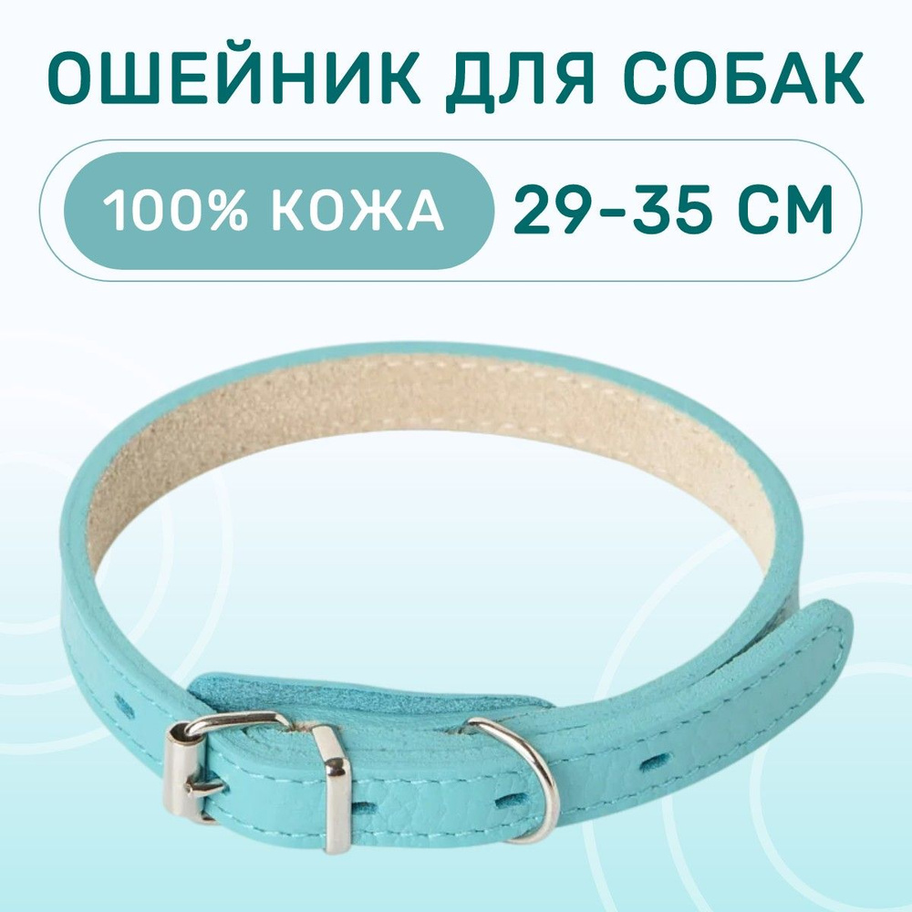 Ошейник Mr.Kranch для собак из натуральной кожи прямой, 29-35 см, бирюзовый  #1