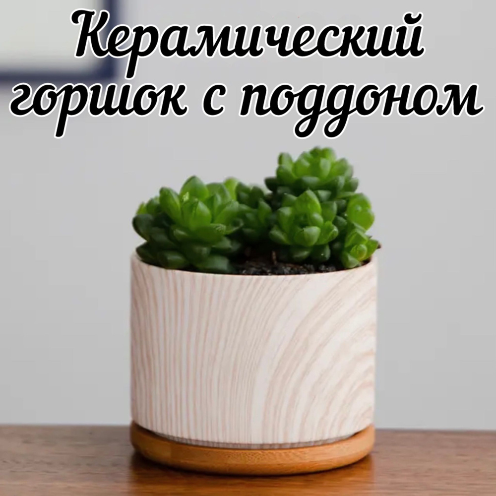 WAZON Горшок для цветов, Песочный с бамбуковым поддоном, 7.5 см х 9 см х 9 см, 0.302 л, 1 шт  #1