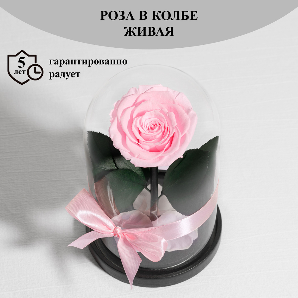 Стабилизированные цветы в стекле, Роза в колбе живая Bella розовая , подарочный набор для женщины, долговечный #1