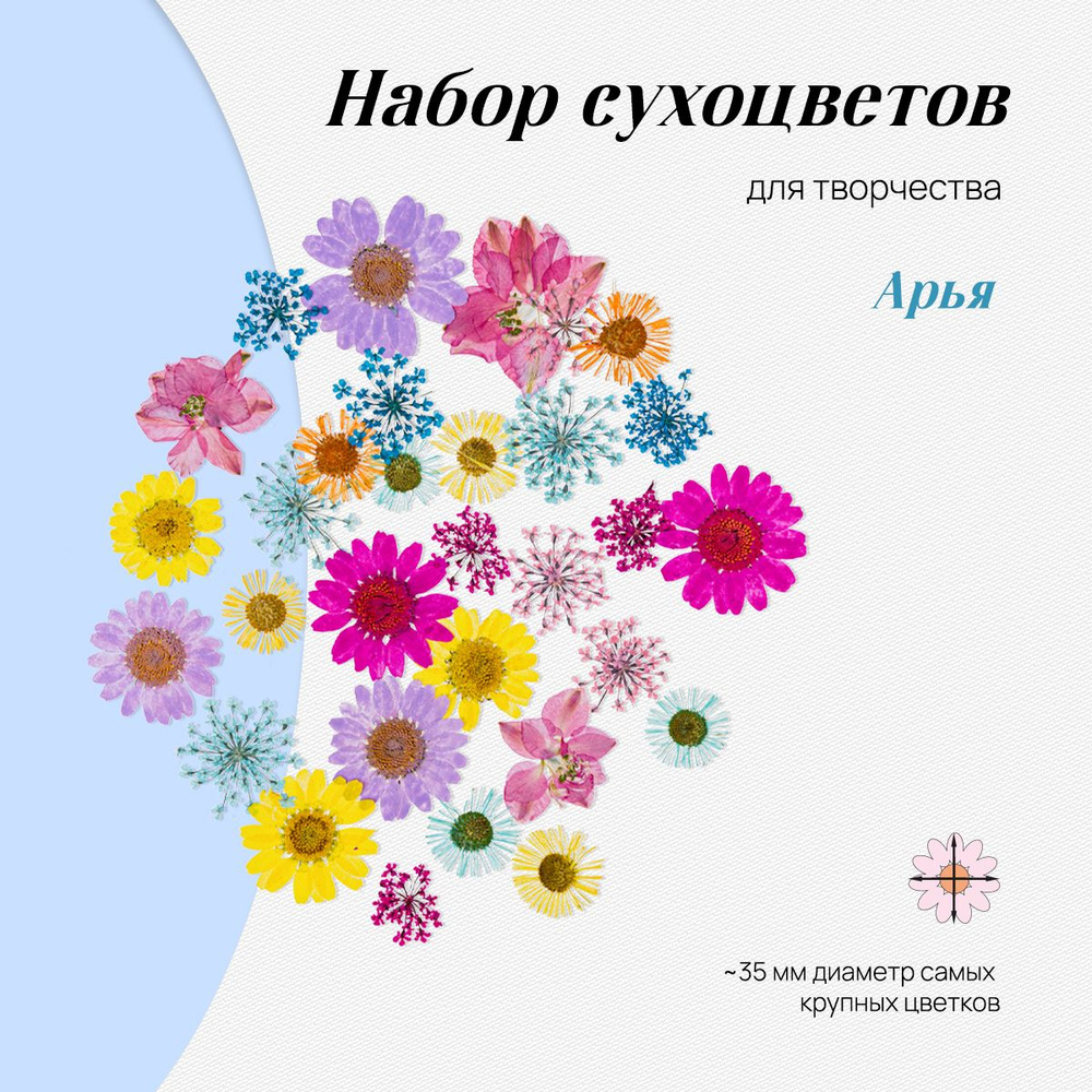 Набор натуральных сухоцветов цветов для творчества, декора, 30 шт., размер набора - 14*10 см/ сухоцветы #1