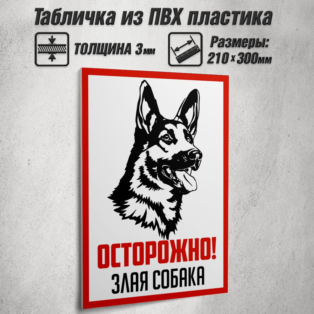 Информационная табличка "Осторожно! Злая собака" / 21x30 см.  #1