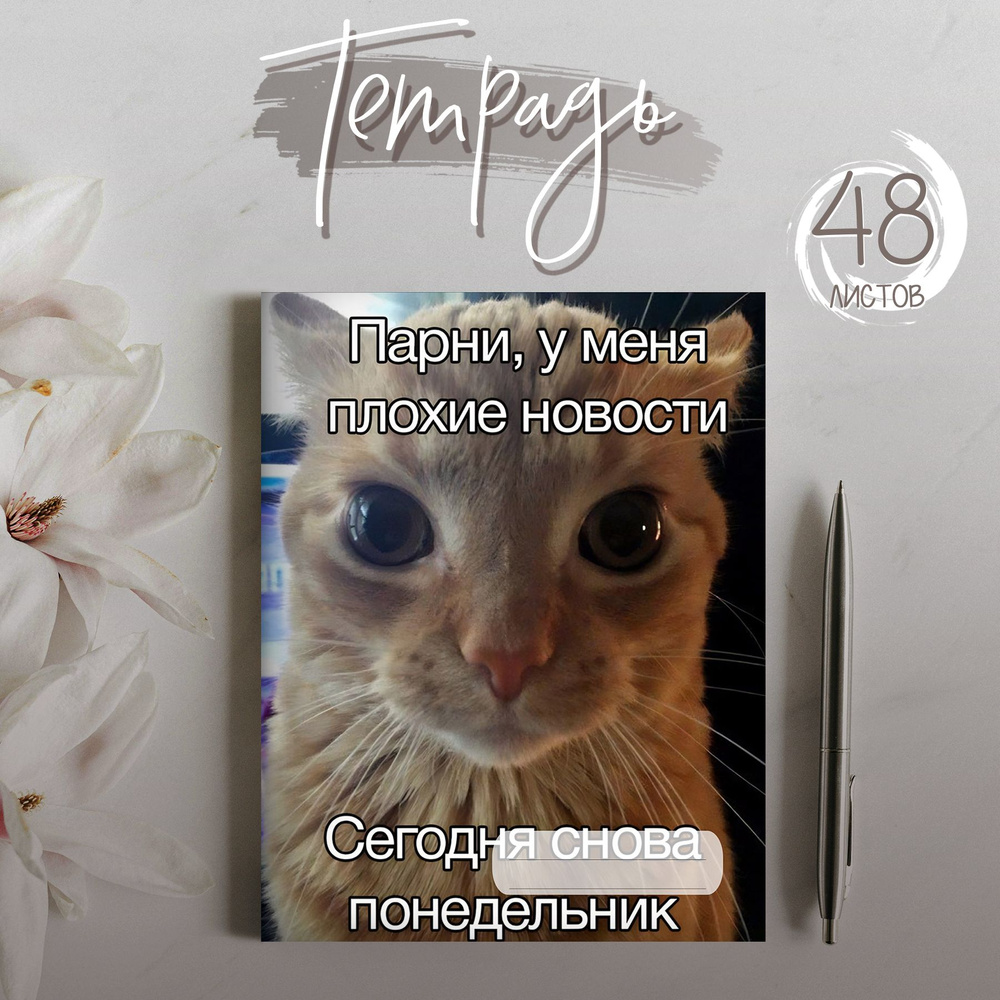 Тетрадь мем про понедельник с котом, 48 листов #1