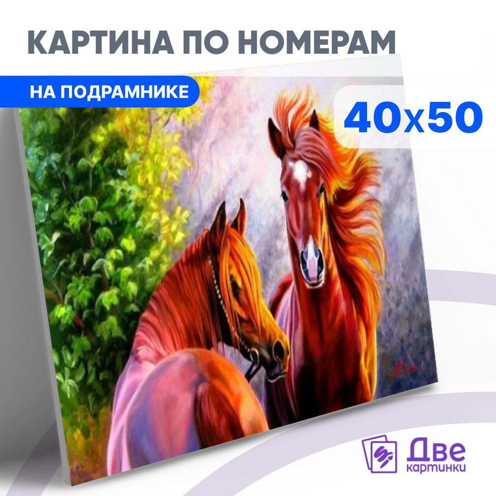 Картина по номерам на холсте 40х50 40 x 50 на подрамнике "Гордые лошади Самарская" DVEKARTINKI  #1