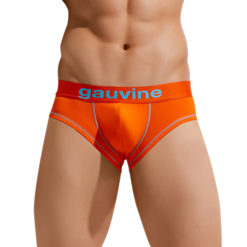 Трусы брифы GAUVINE, 1 шт #1