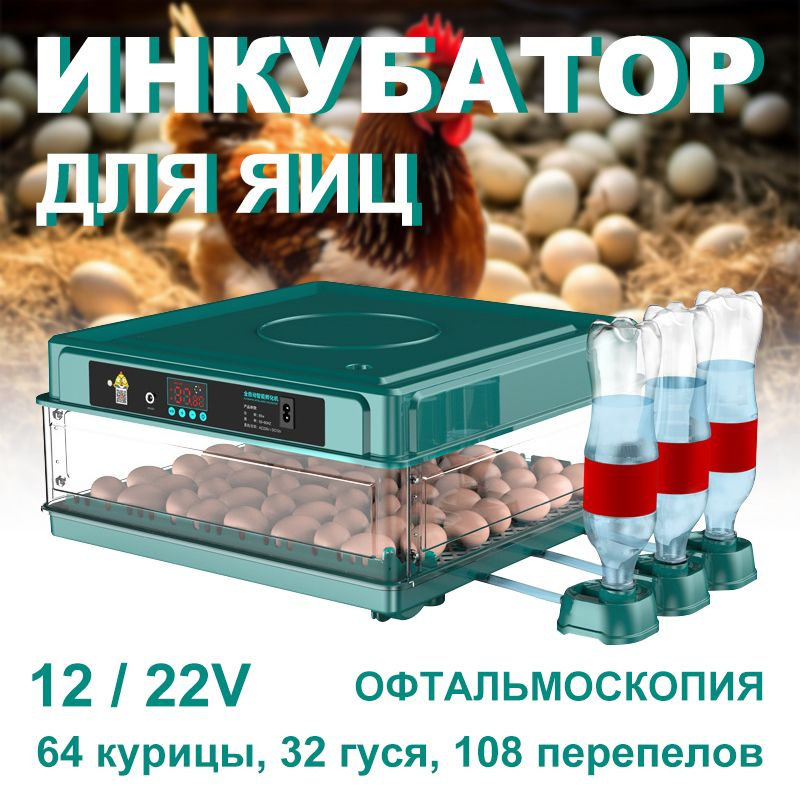 Инкубатор для яиц автоматический 220/12v IG-64 (вентилятор, овоскоп, автодолив)  #1