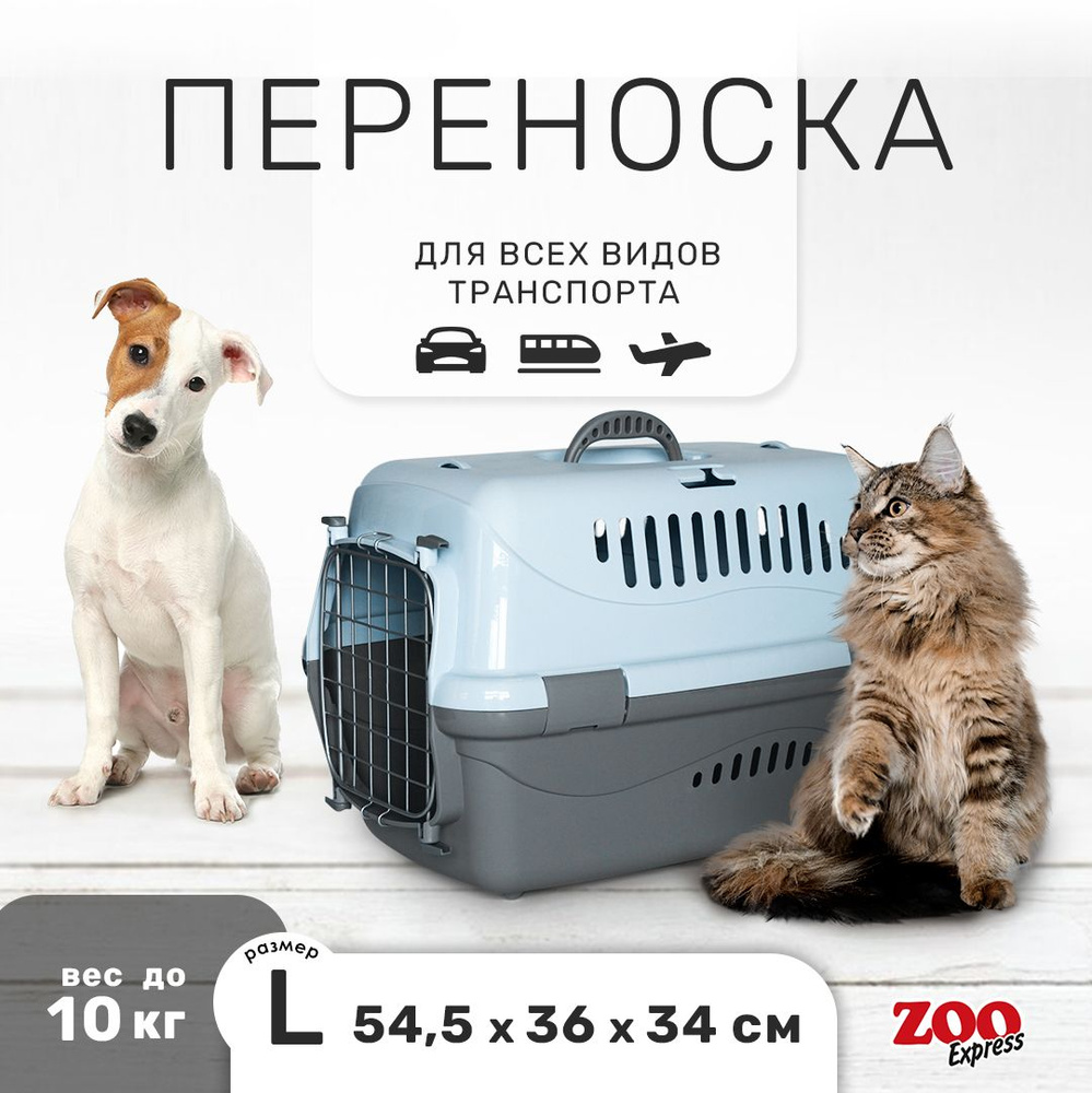 Переноска для кошек и собак ZOOexpress Турне 54,5х36х34 см (L), дверца с фиксацией, голубая  #1