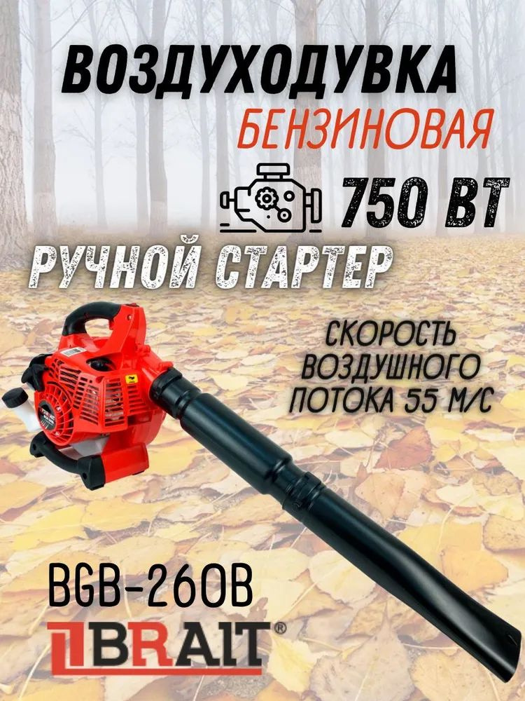 Воздуходувка бензиновая BGB-260B #1