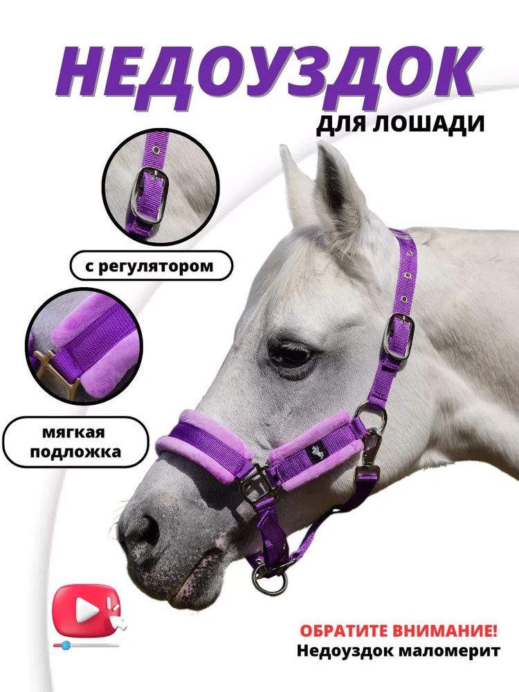 Sweethorse / Недоуздок Full #1