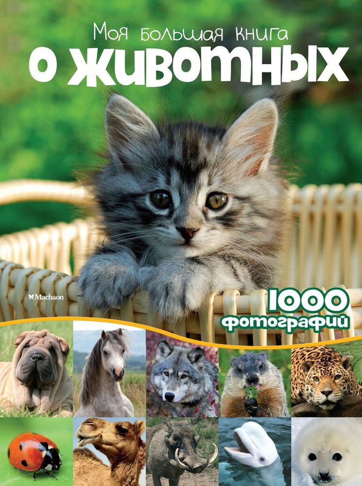 Моя большая книга о животных | Куйе Наталья #1