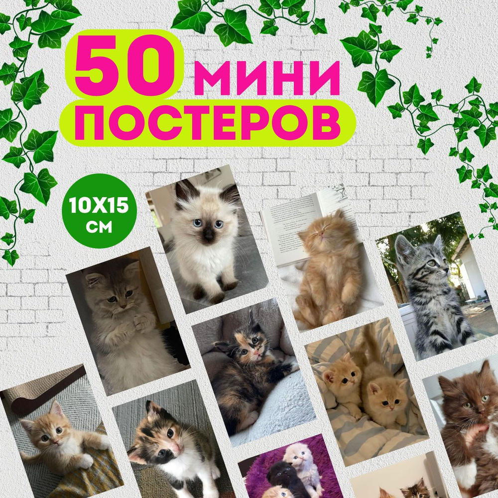 Набор мини постеров Милые котики, 50 штук #1