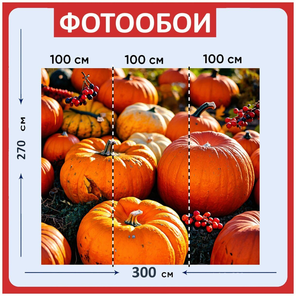 Фотообои ударопрочные моющиеся "Осень: мозаика из тыкв и осенних ягод" 300x270 см. флизелиновые на стену #1