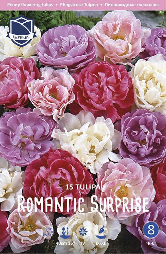 Тюльпан Романтик Сюрпрайз смесь (Tulipa Romantic Surprise), 15 шт #1