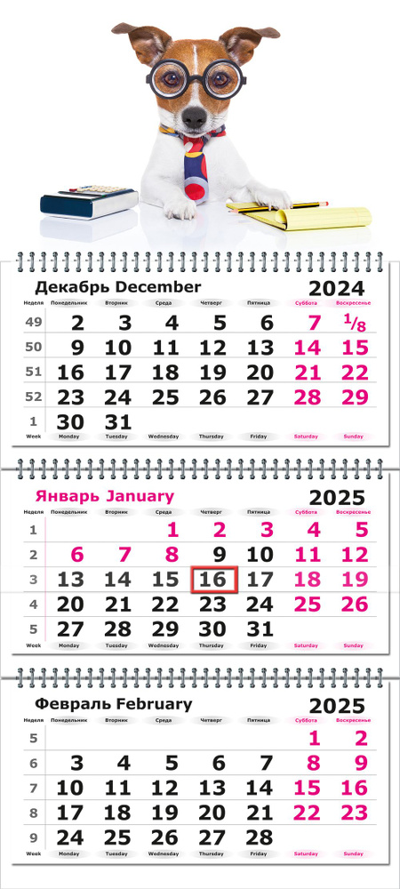 Календарь 2025 настенный трехблочный квартальный СТАНДАРТ ПОЛИНОМ "Деловой Джек-рассел, " 31х68см, 1шт/уп #1