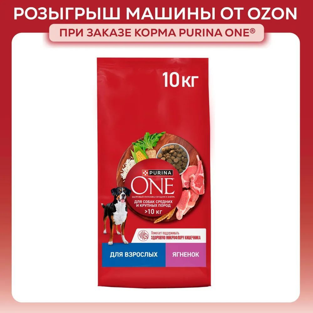 Сухой корм для собак Purina ONE для взрослых собак средних и крупных пород, с ягненком и рисом, 10 кг #1