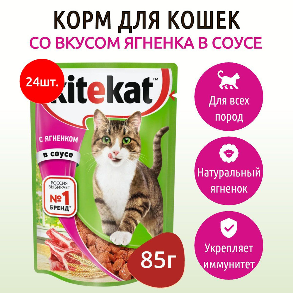 Влажный корм Kitekat 2040 г (24 упаковки по 85 грамм) для кошек Ягненок в соусе, в паучах  #1