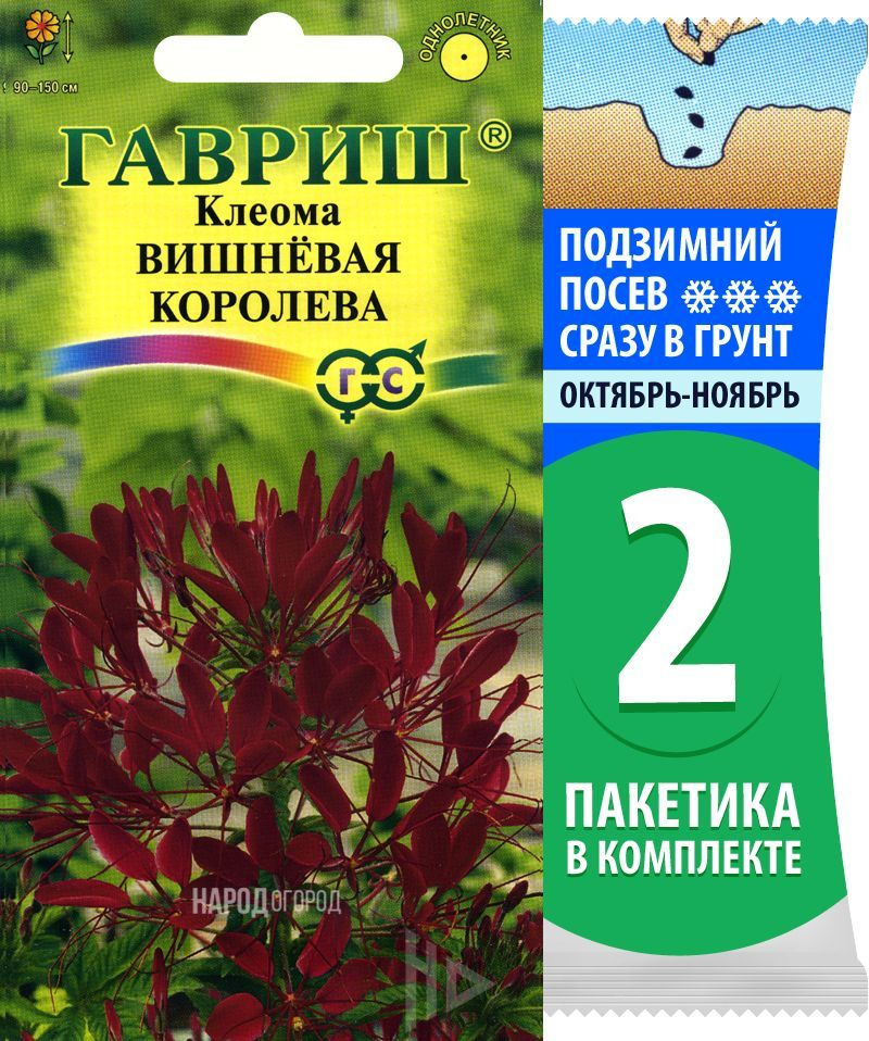 Семена Клеома Вишневая Королева, 2 пакетика по 0,3г/150шт #1