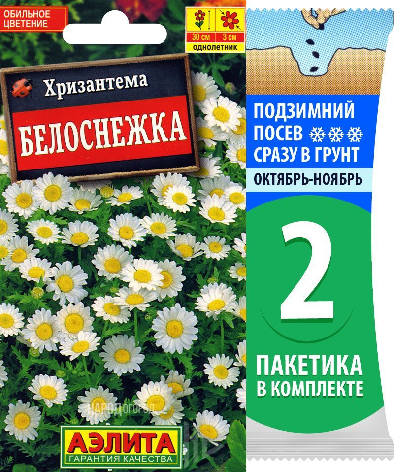 Семена Хризантема Белоснежка, однолетние цветы для сада, 2 пакетика по 0,1г/170шт  #1