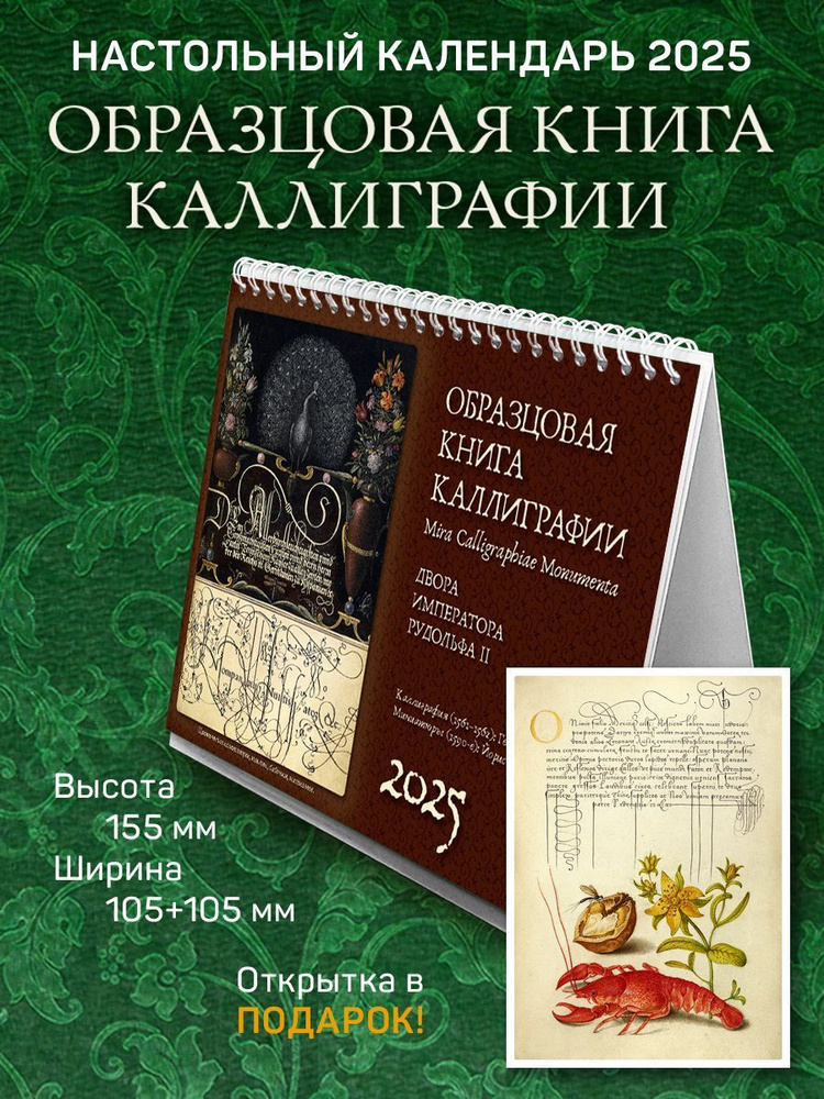 Календарь на 2025 год, настольный домик, перекидной "Образцовая книга Каллиграфии"  #1