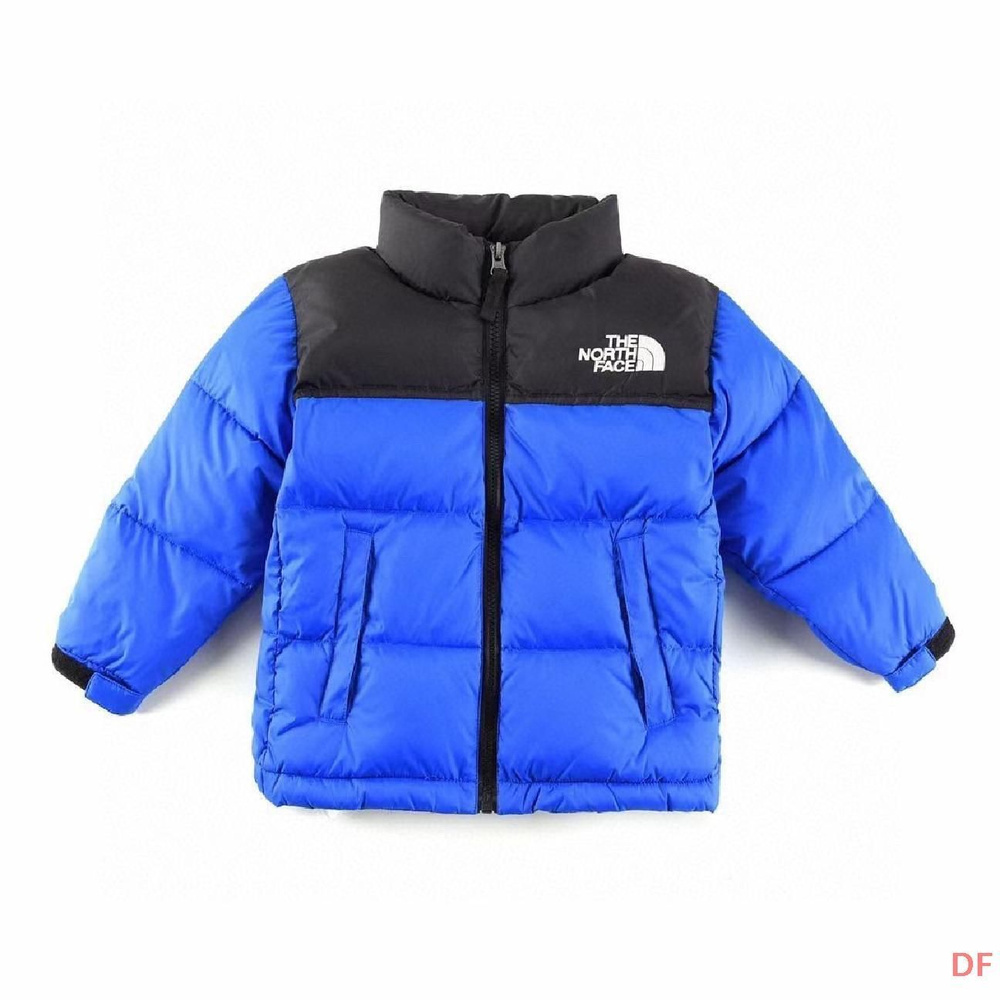 Пуховик The North Face #1