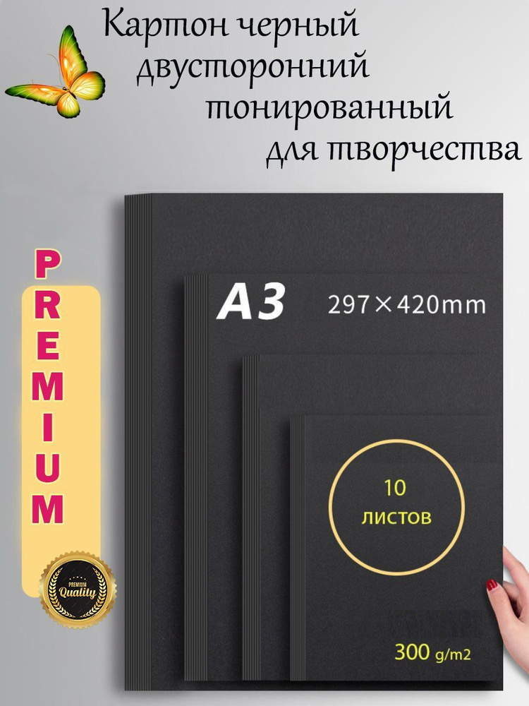 Картон черный А3 300 г/м2 двусторонний тонированный, 10 листов  #1