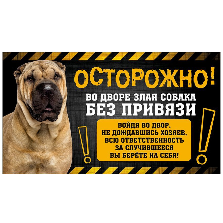 Табличка, с юмором, DANGER DOG, Осторожно! Во дворе собака без привязи, Шарпей, 25x14 см  #1