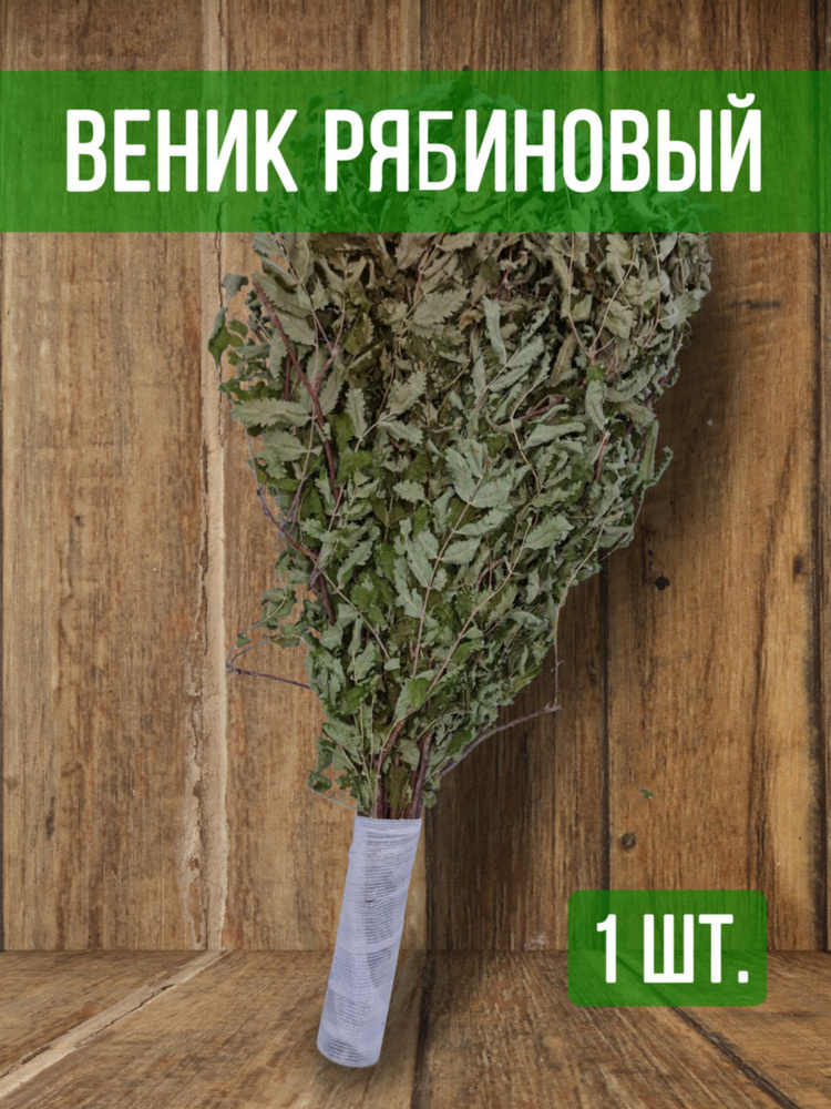 Веник для бани из Рябины свежий сбор 2024, ручка резинка, 1 шт.  #1