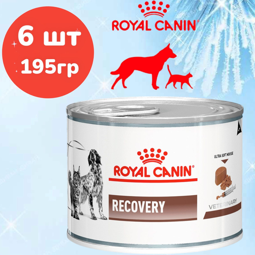 Royal Canin Recovery (мусс) 6шт х 195г #1