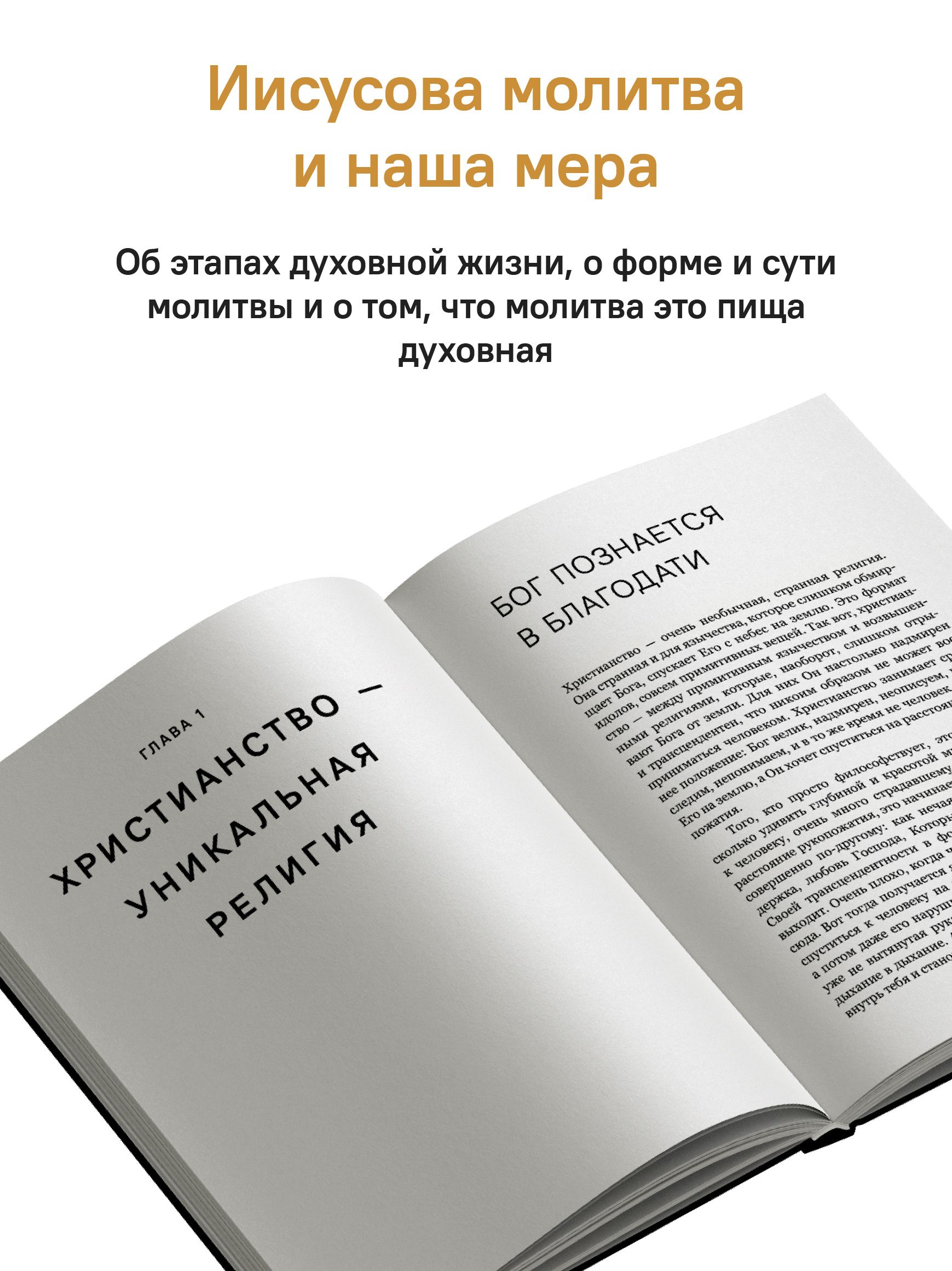 Искусство духовной жизни | The Art of the Spiritual Life - Ozon image 6