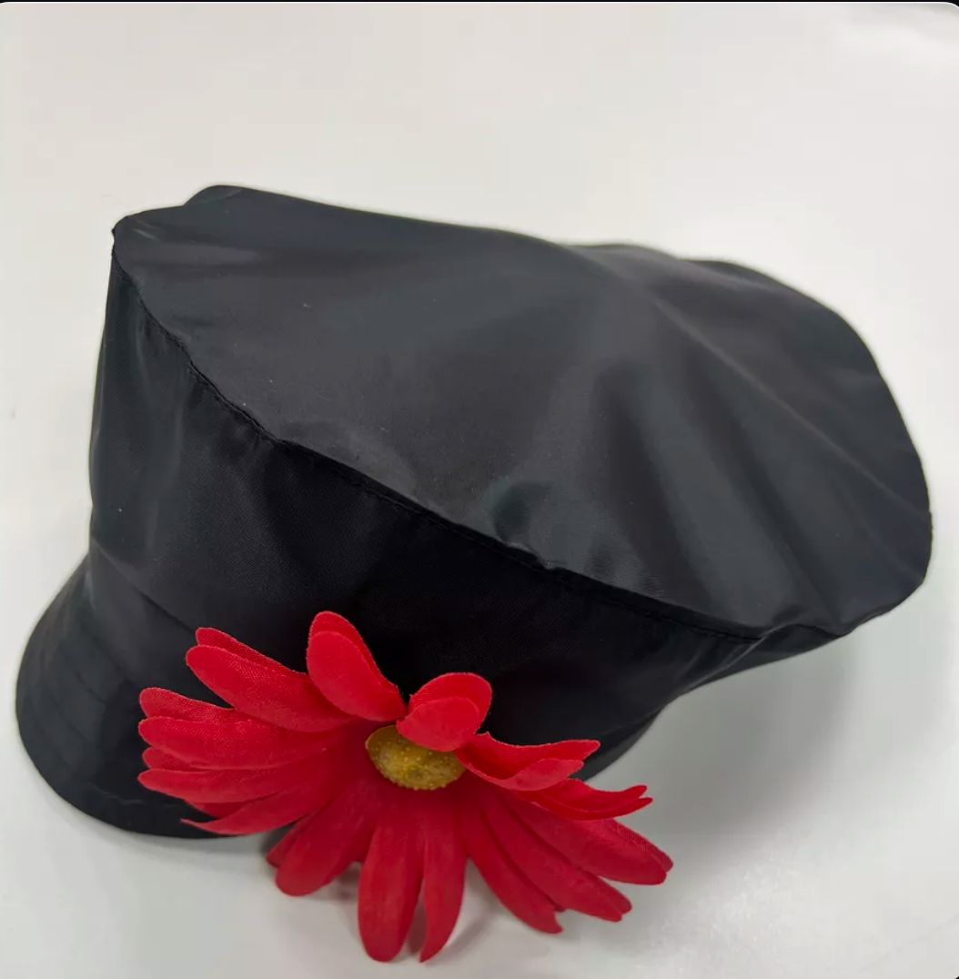 Картузчерныйкарнавальныйплащевка,кепкасцветком