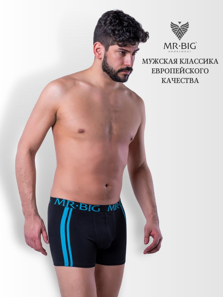 Трусы боксеры MR.BIG Underwear Нижнее белье, 1 шт #1