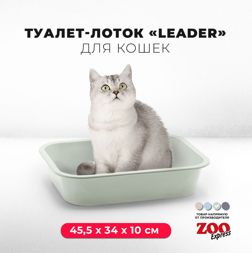 Туалет-лоток для кошек ZOOexpress LEADER, 45,5х34х10 см, светло-зеленый  #1