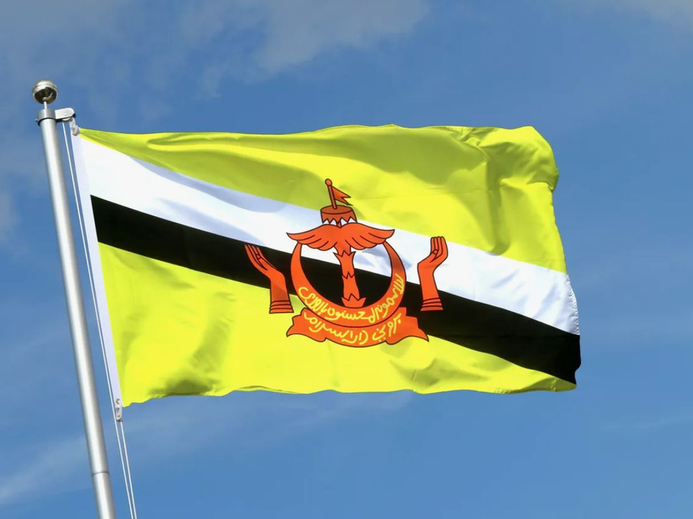 Двусторонний флаг Брунея 40х60 см на лодку, катер или яхту с люверсами  #1