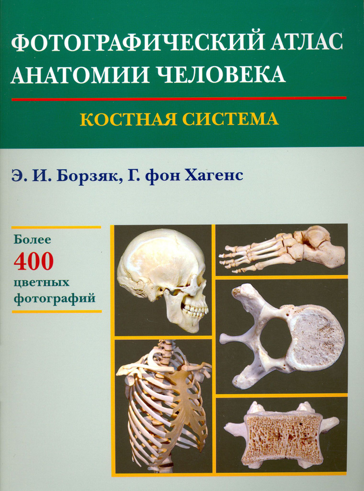 Фотографический атлас анатомии человека. Костная система | Борзяк Эдуард Иванович  #1