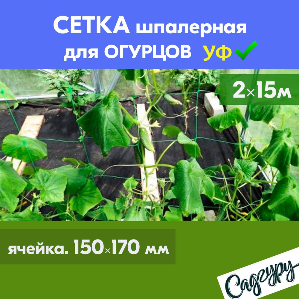 Сетка шпалерная для огурцов 15*17см 2х15м ЗЕЛЕНАЯ подвязка для клематисов, гороха, вьющихся растений, #1