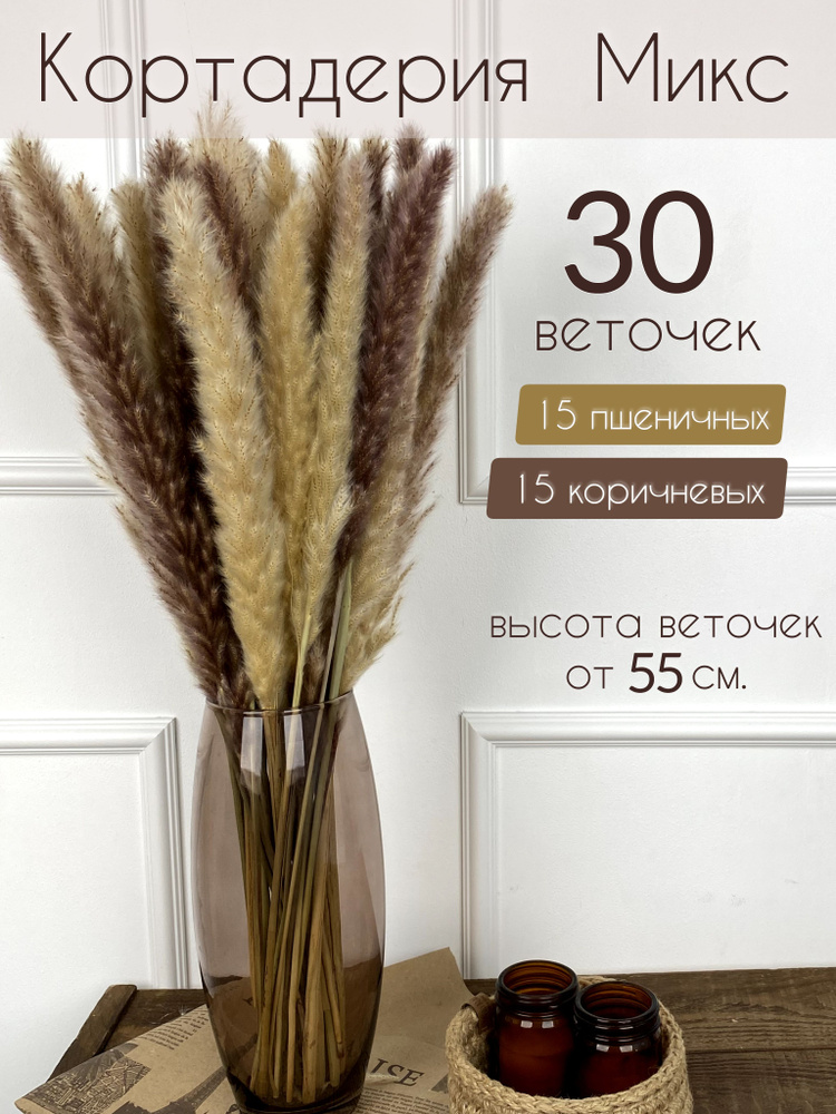 Family St. Сухоцветы Камыш, Пампасная трава, 55 см, 45 гр, 30 шт #1