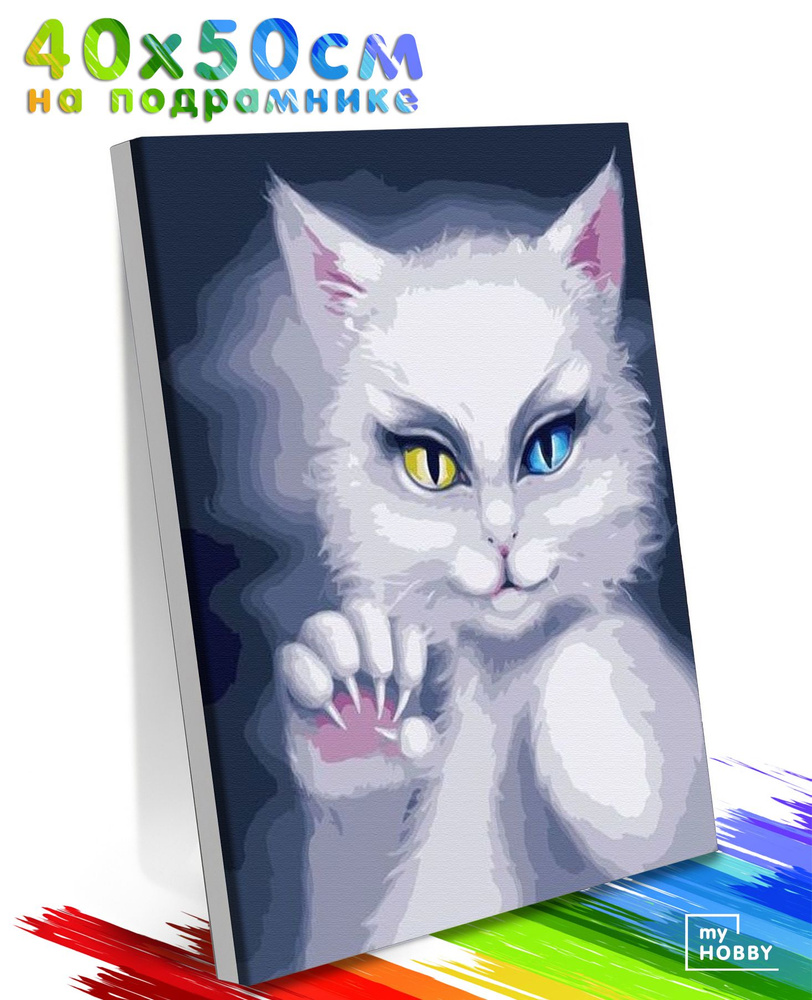 Картина по Номерам на Холсте 40х50 см Colibri Белая Кошка Животные С Подрамником Для Детей и Взрослых #1