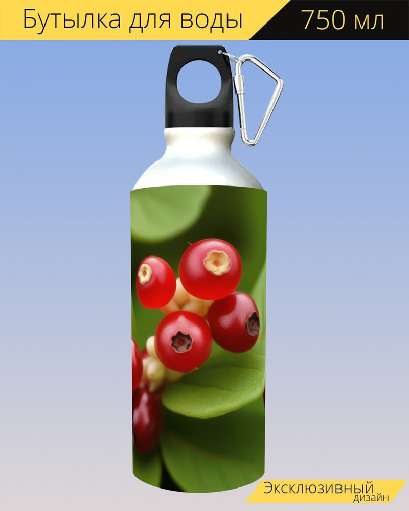 бутылка для воды любителям полезного "Ягода, брусника, растущая" для походов и отдыха, 750мл.  #1