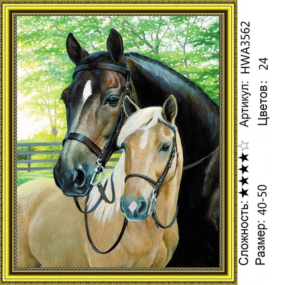 Алмазная мозаика 40х50см на подрамнике. Пара лошадей. Животные.  #1