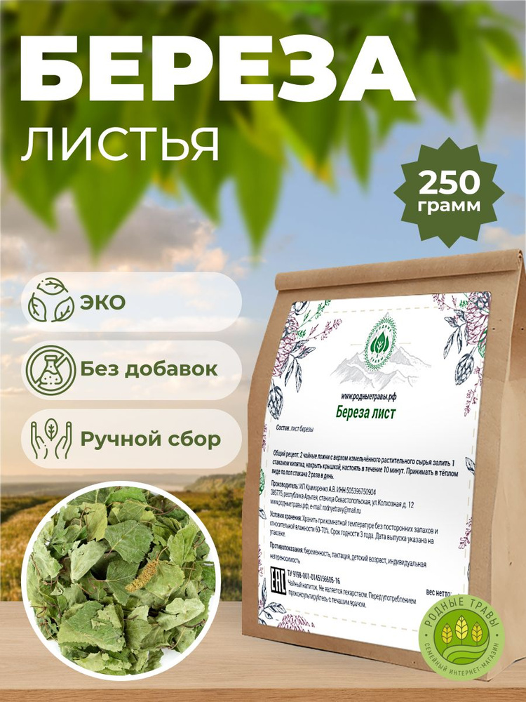 Береза лист сушеный (250 гр) - Родные Травы. #1