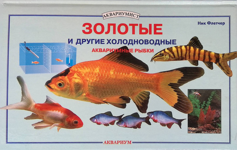 Золотые и другие холодноводные аквариумные рыбки #1