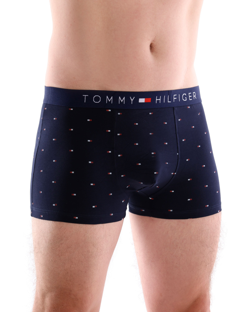 Трусы боксеры Tommy Hilfiger, 1 шт #1