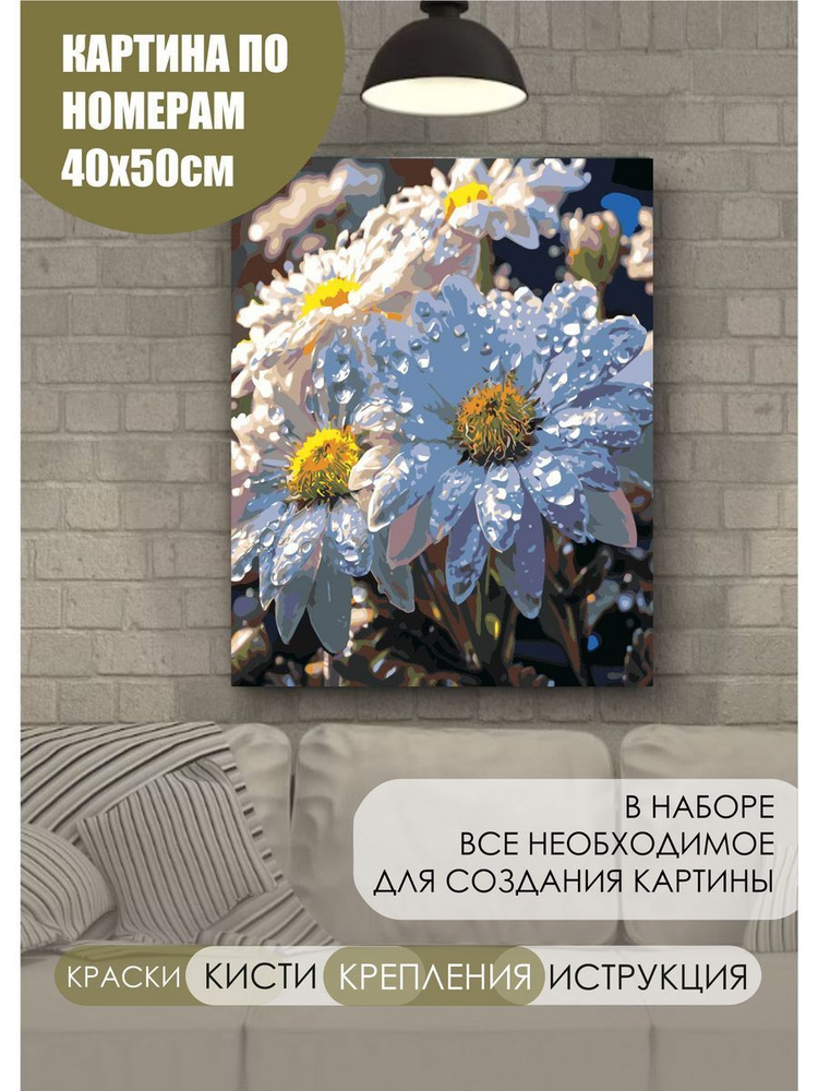 Картина по номерам Ромашки в росе на холсте с деревянным подрамником размер 40х50, акриловые краски, #1