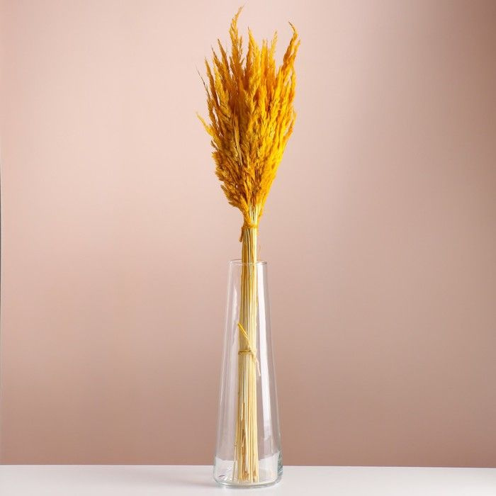 Сухоцветы для декора "Вейник" банч длина 65 (+/- 6 см) жёлтый  #1